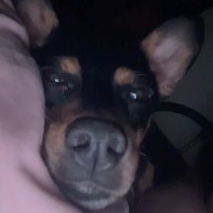 Meet your Posher, Felipe